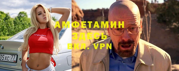ГАЛЛЮЦИНОГЕННЫЕ ГРИБЫ Верея