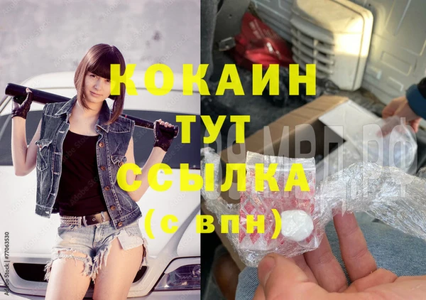 ГАЛЛЮЦИНОГЕННЫЕ ГРИБЫ Верея
