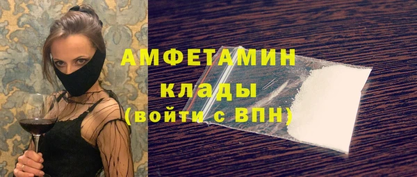 ГАЛЛЮЦИНОГЕННЫЕ ГРИБЫ Верея