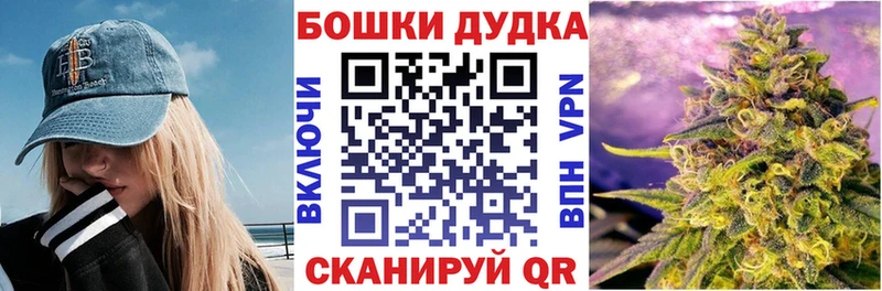 где найти   Камызяк  Каннабис индика 